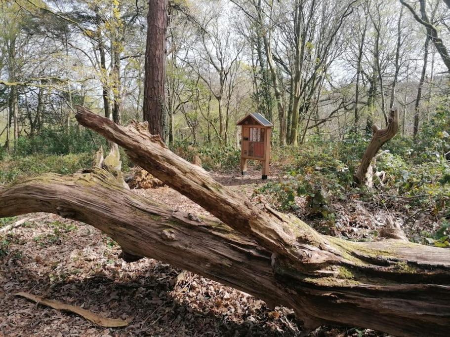 Pebble Cottage Uny Lelant Экстерьер фото
